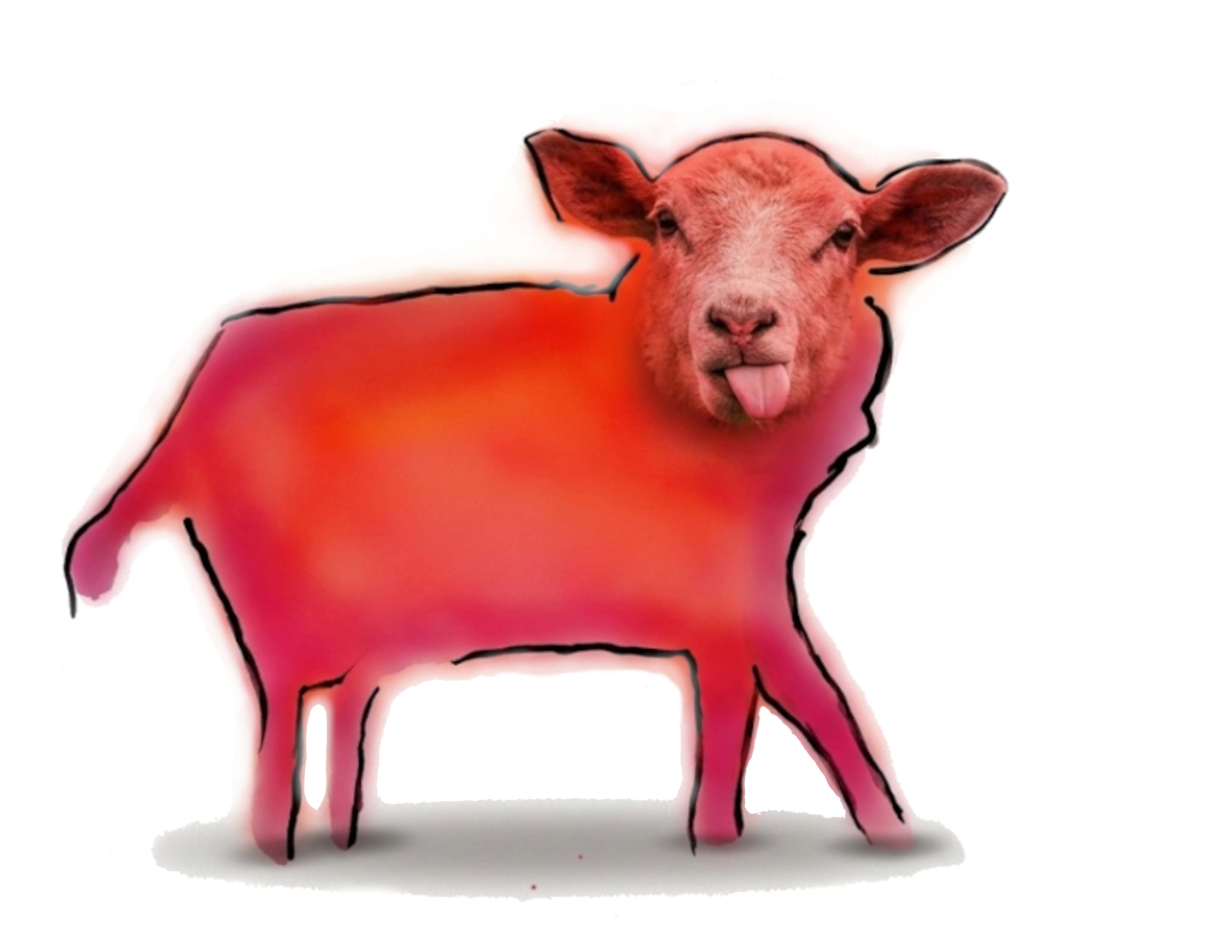 Mouton