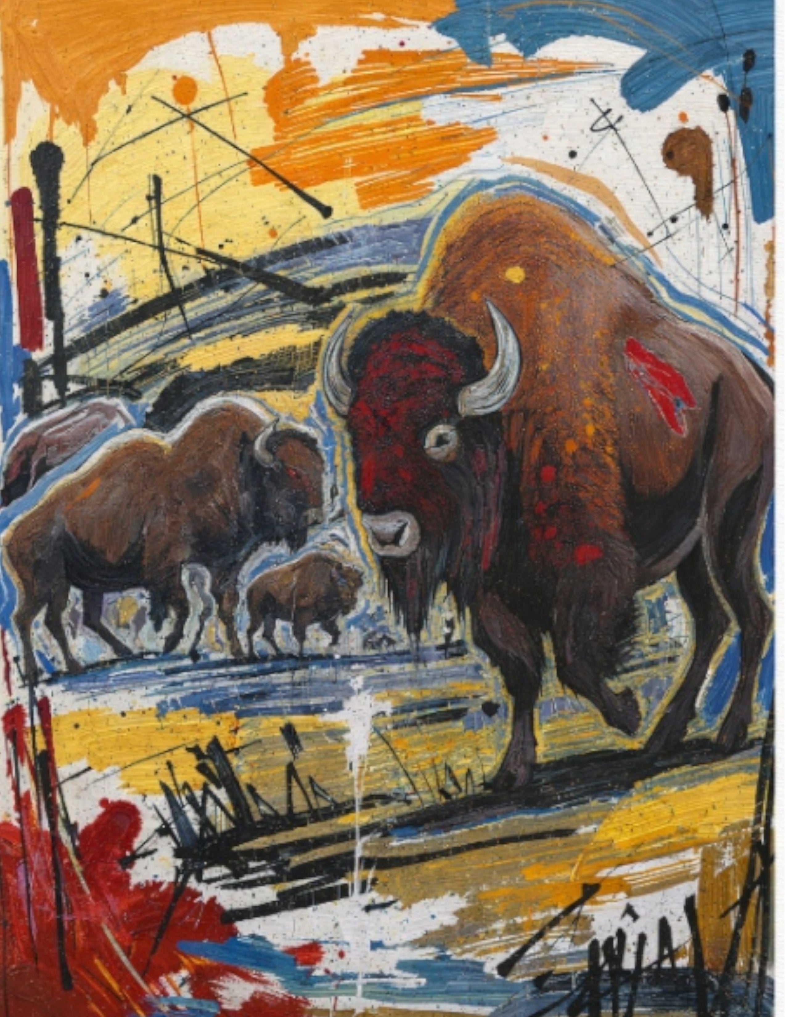 Bison