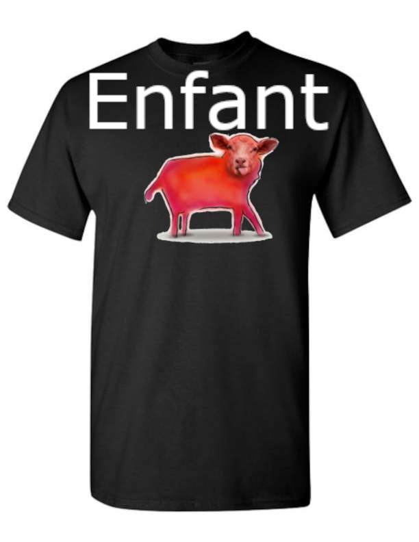 Mouton Tshirt enfant