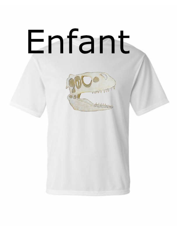 Crâne Dino Tshirt POLY enfant