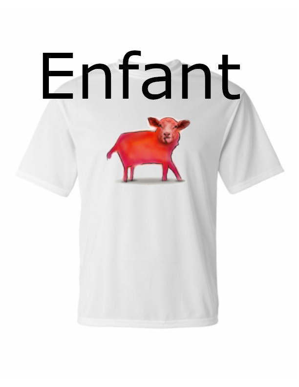 Mouton Tshirt POLY enfant